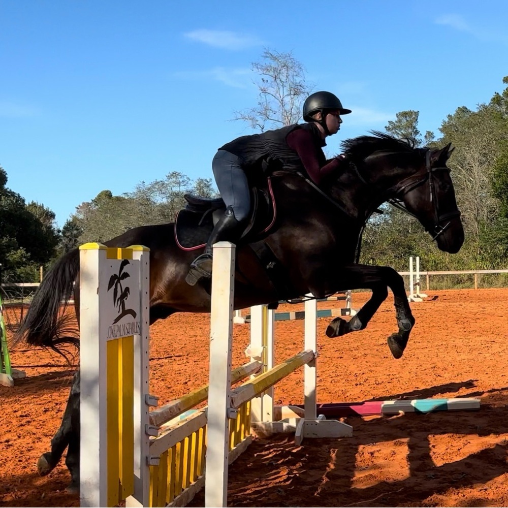 Equestrian Riding Vest - Picture 5 of 5